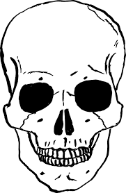 Skulls Skulls Drawing Skull Stencil Skull Sketch