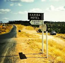 Pin By Judy Craemer On My Home Rhodesia Zimbabwe History Country Roads Countryside