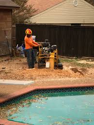 Martinez Tree Service 1 Reviews Carrollton Tx Angi