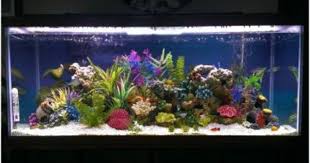 Top Fin Stone Coral Bubbler Aquarium Ornament Fish Tank Themes Fish Tank Fresh Water Fish Tank