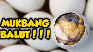 A balut is a fertilized duck embryo that is boiled alive and eaten in the shell. How To Eat Balut Mukbang Duck Egg Embryo Pinoy Style Youtube