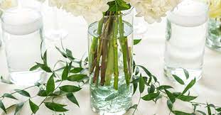 The flowers that grow on crab apple trees are regarded for their beautiful colors ranging from white to coral silver dollar eucalyptus trees, also known as silver dollar gum, are. Diy Dollar Tree Wedding Reception Tablescape Elegance For Less Dollar Tree