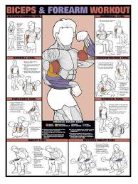 Biceps Workout Routines Docshare Tips