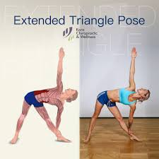 Extended Triangle Pose Muscles Involved Abdominal External Oblique Muscles Execution Straighten Up Wi Exercise Triangle Pose Physical Rehabilitation