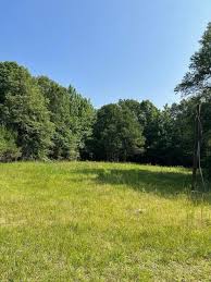 Recently Sold Real Estate & Homes in 39421