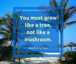 25 Best Tree Quotes Sayingimages Com But this is not to say that all humans are equal or that the roles they are assigned are interchangeable. 25 best tree quotes sayingimages com