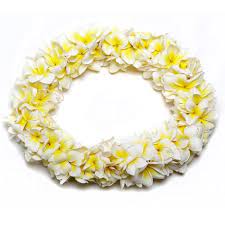 Double Yellow Plumeria Lei Fragrant Plumeria Tree Plumeria Flower Lei