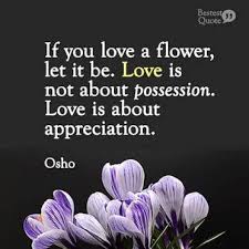 A plant's highest achievement is having a flower, which is here first and foremost for our delight. Top 100 Osho Quotes On Love Life And Success Bestestquote