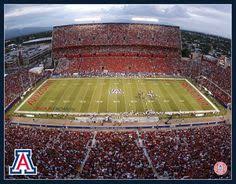 10 Best Arizona Wildcats Images In 2013 Arizona Wildcats