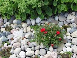 Pebbles create a very soothing atmosphere in the garden along with cooling effect. How To Use Pebbles For Gardening Boldsky Com