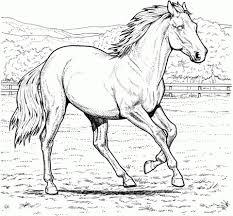 Pin by vladimir on kresba horse. 20 Free Printable Horses Coloring Pages Everfreecoloring Com