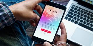 For me i prefer to always see my watch face when i raise. Why Is My Apple Music App Not Playing 4 Ways To Fix Business Insider