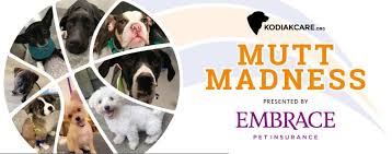 Products underwritten by veterinary pet insurance company (ca), columbus, oh; David Rodgers Vp Of Marketing Embrace Pet Insurance Linkedin