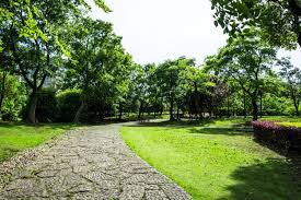 We did not find results for: 200 000 Garden Plants Pictures
