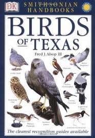 Birds Of East Texas Book Smithsonian Handbooks Birds Of Texas Smithsonian Handbooks By Dk Publishing Http Www Amazon Com Dp 0789483882 Ref Cm Sw R Bird Pictures Birds Smithsonian