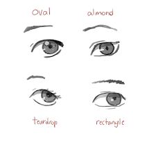 This is a perfect app for those looking to learn the fundamentals of drawing and create some stunning drawings straight away. Eyes From Anatomy To Emotion Realism To Cartoon And More By Toinstaa Clip Studio Tips