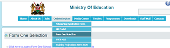 Critical care screening application form. How To Check 2021 Form One Selection Results And Download 2021 Form One Admission Letters Teacher Co Ke
