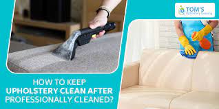 Hire couch fabric specialists by fresh upholstery cleaning. Professional Upholstery Cleaning Services How To Keep Upholstery Clean