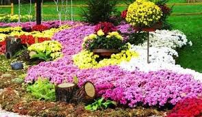 22 Floral Installations And Landscaping Ideas With Mums Autumn Garden Spring Bulbs Garden Planting Bulbs