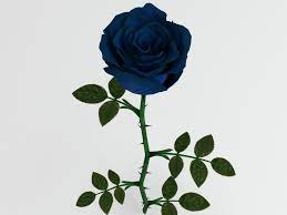 Rose blue 3d