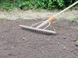 How To Prepare Soil For Planting A Lawn Garden Soil Soil For Plants Oregano Plant