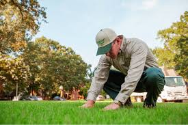 The fungal cell's ion balance is disrupt, resulting in them failure. Fungus Control Guide For Lawns Trugreen