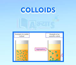 Image result for Colloid Solution