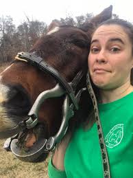 Pinnacle Equine Hospital