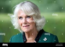 1st battalion the rifles hi-res stock photography and images