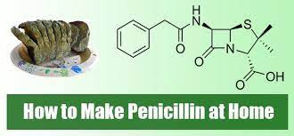 While many preppers wait for bread or fruit peels to turn moldy and simply use this mold to fight infections, it's not recommended and can, in fact, cause harm. How To Make Penicillin At Home