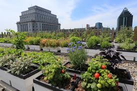 It's become vancouver's architectural along with the rooftop garden, there are two outdoor terraces on the eighth floor, said christina de. Hgtv Presents Gardens In The Sky And Other Rooftop Green Spaces Hgtv