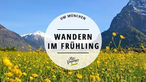 11 Wanderungen Rund Um Munchen Die Euch Tolle Ausblicke Bescheren Mit Vergnugen Munchen Wanderung Chiemgauer Alpen Ammergauer Alpen