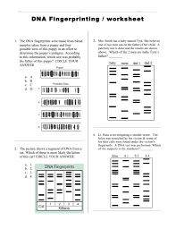 In this fingerprinting worksheet, students answer short answer questions about fingerprinting and then fill out a fingerprint card. Dna Fingerprinting Worksheet Answer Key Dna Fingerprinting Text Features Worksheet Literal Equations