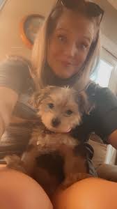 yorkie puppies sleeping and waking up happy