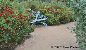 The kerrville chapter of the native plant society of texas also provides an extensive list of native plants for landscaping in the texas hill country. Grow A Hedge Using Native Texas Plants Digging