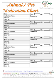 21 Described Medication Chart For Dogs