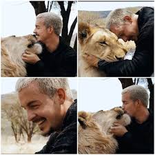 Emotional Dean Lion Reunion Oct 2020 In 2020 Dean Animals Schneider