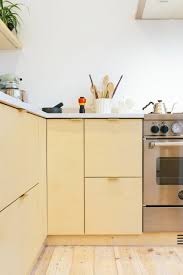 Some plywood panels can cost as little as $10, and others nearly $100. Plywood Kitchens Budget Remodeling Ideas Apartment Therapy