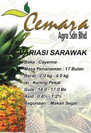 79 likes · 2 were here. Cemara Food Industries Home Facebook