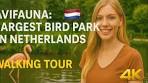 Avifauna: Largest Birds Park in Netherlands Walking Tour 4K - YouTube