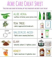 5 Power Ingredients For Acne Prone Skin Acne Care Skin Care Acne Acne Prone Skin