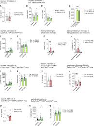 The cephalic phase of insulin release is modulated by IL-1β