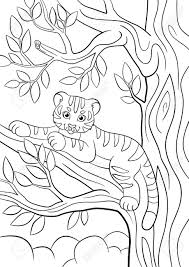 Difficult color by number pages for grown ups rh54j. Coloring Pages Wild Animals Little Cute Baby Tiger Lays On The Tree Branch And Smiles Royalty Free Cliparts Vectors And Stock Illustration Image 58868921