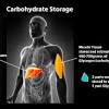 Biomolecules meet specific structural criteria to be classified as carbohydrates. Https Encrypted Tbn0 Gstatic Com Images Q Tbn And9gcry29ev8x5ruxdn6cxnzkbsp6bk3npz9xoqwt76hz7hv On1hdv Usqp Cau