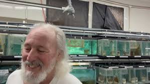 Tim Mousseau's Guppy Fish Room walkthrough for March 2024