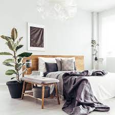 Sweet home inspiration wardrobe makeover decor bedroom plants home indoor green interiors home and living. 15 Oversized House Plants Tall House Plants