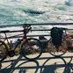 Peony Women's Bike Tours