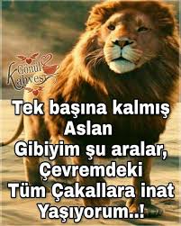 Bahar Kara Adli Kullanicinin Guzel Sozler Panosundaki Pin Din Resimler Guzel Soz