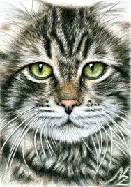 Download pictures of cat faces and use any clip art,coloring,png graphics in your website, document or presentation. Cats Face Art Print Cat Painting Cat Art Cat Face Drawing