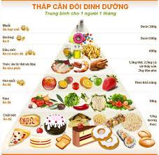 Vai trò vitamin và khoáng chất trong vận động